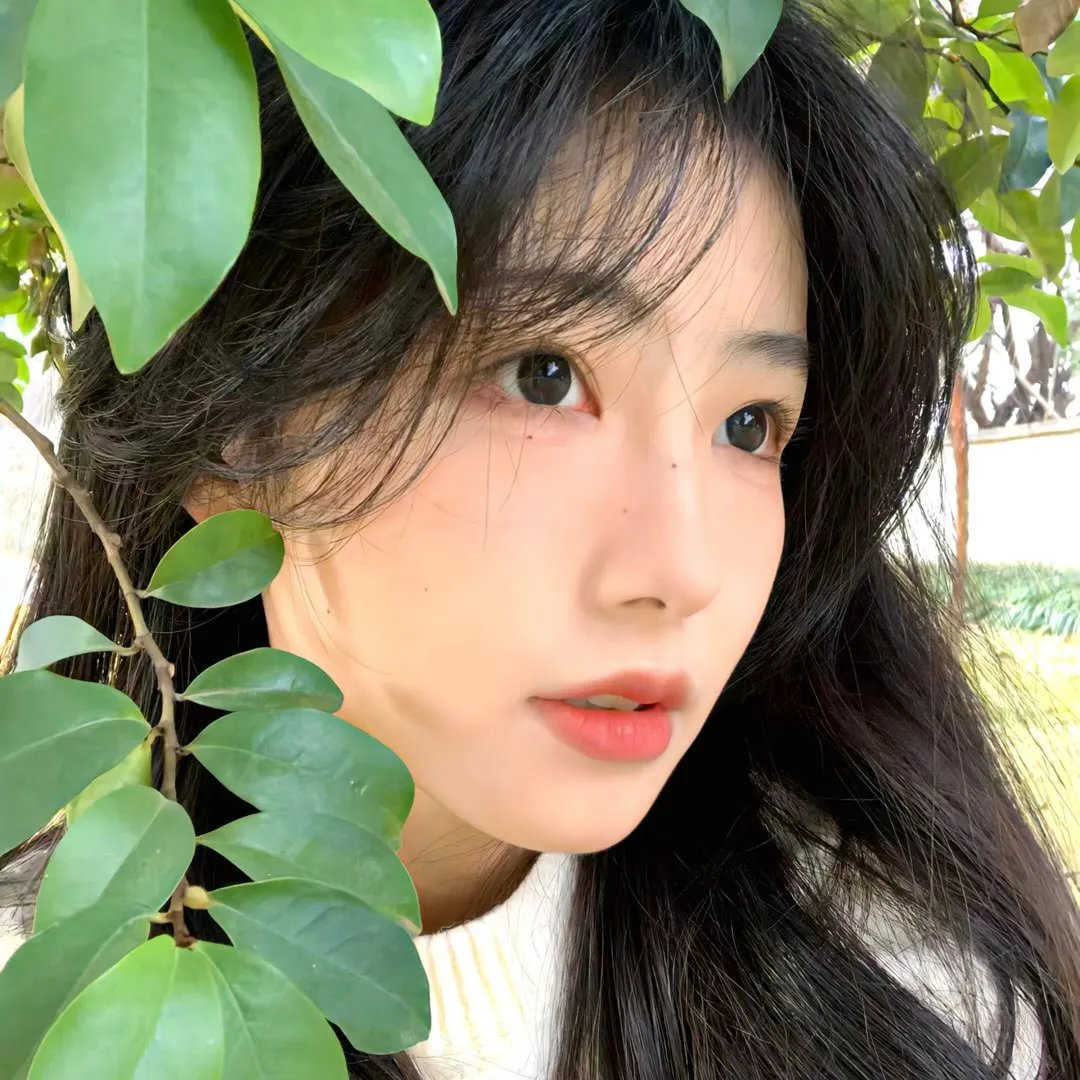 替嫁医女第一季